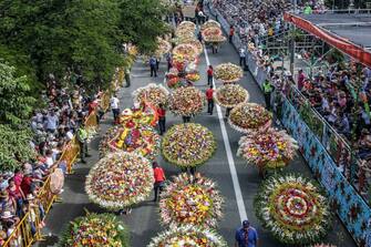 People carry flower arrangements during the traditional "Silleteros" parade, held as part of the Flower Festival in Medellin, Antioquia department, Colombia, on August 7, 2017.   / AFP PHOTO / JOAQUIN SARMIENTO        (Photo credit should read JOAQUIN SARMIENTO/AFP via Getty Images)
