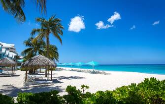 Grand Cayman Beach Deck Chairs Blue Umbrellas On Water's Edge, Cayman Islands, Grand Cayman, Seven Mile Beach - Cayman Islands, Backgrounds, Beach