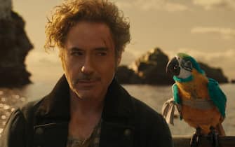 (from left) Dr. John Dolittle (Robert Downey Jr.) and parrot Polynesia (Emma Thompson) in "Dolittle," directed by Stephen Gaghan.