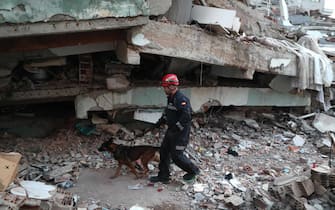 epa10459344 A member of the Spanish search and rescue team inspects the area of a building collapse in the aftermath of a powerful earthquake in Hatay, Turkey 10 February 2023. Over 22,000 people were killed and thousands more were injured after two major earthquakes struck southern Turkey and northern Syria on 06 February. Authorities fear the death toll will keep climbing as rescuers look for survivors across the region.  EPA/ERDEM SAHIN