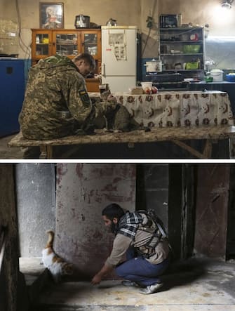 Guerra in Siria
