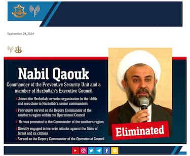 Nabil Qaouk