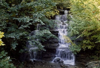 ITALY - CIRCA 2003:  Waterfall in the Casentinesi Forest National Park, Tuscany region, Italy. (Photo by DeAgostini/Getty Images)
