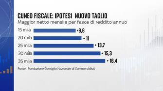 cuneo fiscale grafica