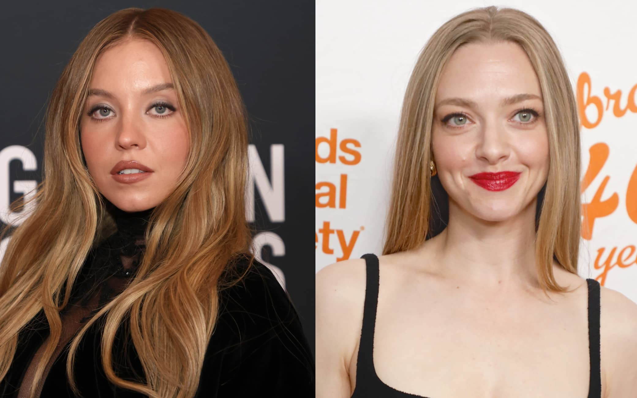 The Housemaid, Sydney Sweeney E Amanda Seyfried Protagoniste Del ...