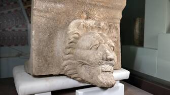 La testa di leone in marmo prezioso intatta e in perfetto stato di conservazione rinvenuta a Selinunte dall'archeologo Jon Albers durante le ricerche condotte dall'Università di Bochum, 24 Agosto 2023. ANSA/US REGIONE SICILIA