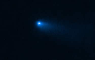 cometa_telescopio_webb_twitter_NASAWebb