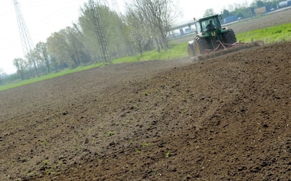 Esplode un tubo del trattore: morto agricoltore 68enne nel Cremonese