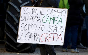 Partecipanti alla manifestazione del 'Cra agricoltori traditi' al Circo Massimo, Roma, 15 febbraio 2024.
ANSA/MASSIMO PERCOSSI