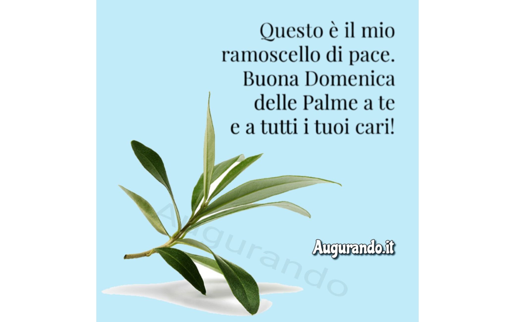 Immagini Buongiorno Domenica Delle Palme 2024 Buongiorno e buona Domenica delle Palme, immagini e frasi d'auguri da