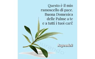 auguri domenica delle palme