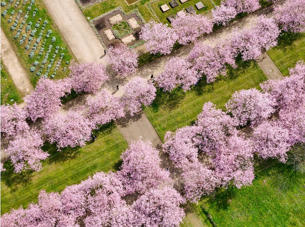 Foto Michele D'Ottavio