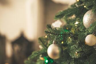 Christmas tree in Christmas living room. Beautiful New Year decorated classic home interior. Winter background