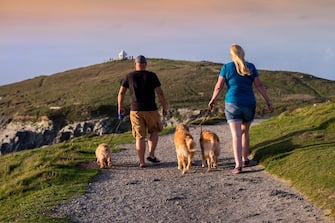 Dog walkers on Towan Head in Newquay, Cornwall, England.