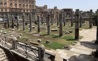 La Domenica al Museo di marzo