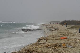 E' di 30 morti il bilancio, ancora provvisorio, dei morti durante uno sbarco di migranti a Cutro, nel Crotonese. Ai cadaveri trovati sulla spiaggia, in località "Steccato", si aggiungono, infatti, quelli trovati in mare che devono ancora essere recuperati, 26 febbraio 2023. Sul posto, insieme ai carabinieri ed alla polizia, ci sono la Guardia di finanza, la Guardia costiera ed i vigili del fuoco. ANSA/GIUSEPPE PIPITA