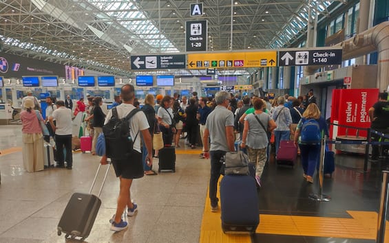 Viaggi in aereo, dai liquidi nei bagagli a mano ai cani in cabina: novità dell’estate 2025 Viaggi in aereo, dai liquidi nei bagagli a mano ai cani in cabina: novità dell’estate 2025