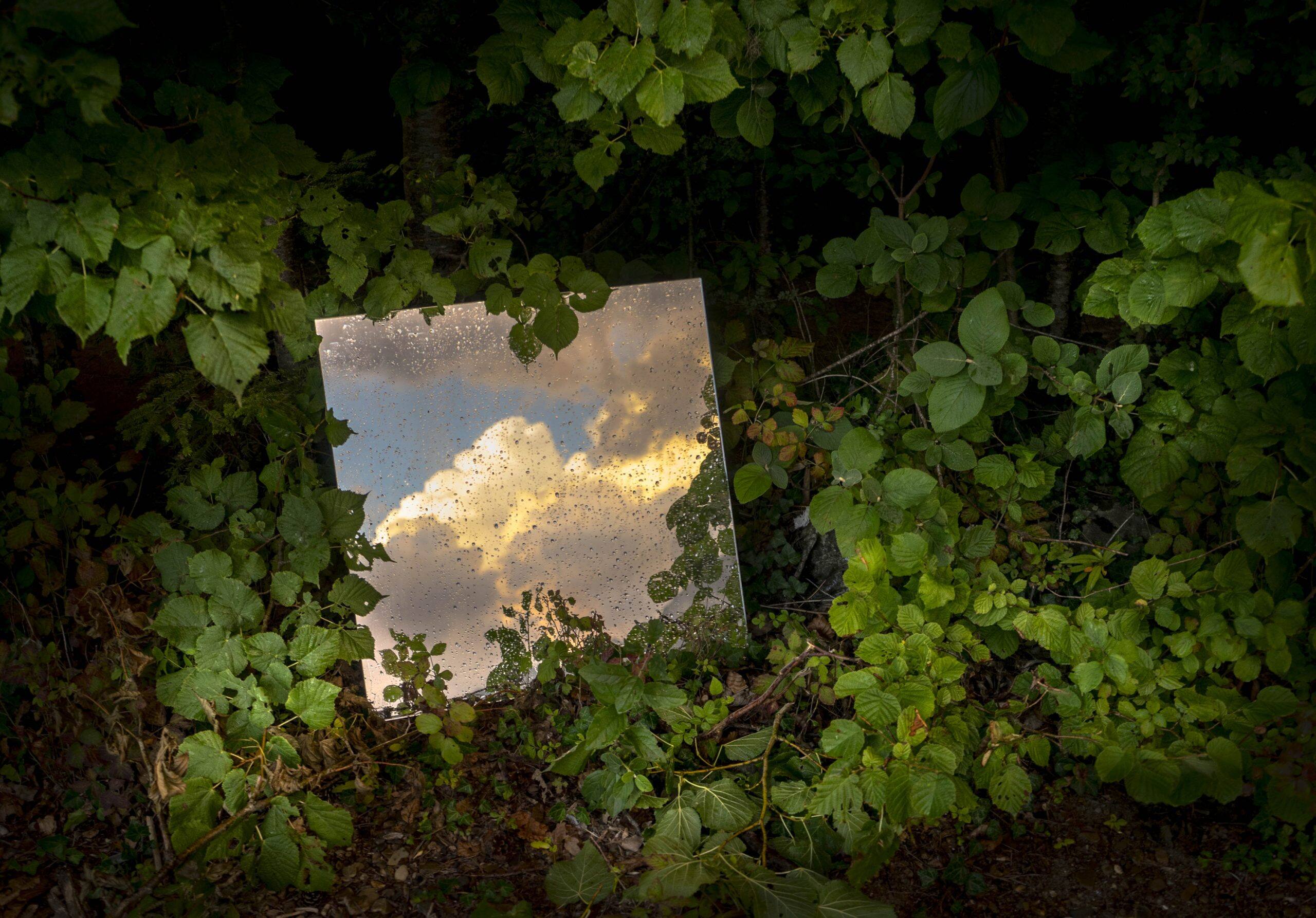 _Andrea_Tirindelli_Oltre_il_visibile_della_natura_2019_Stampa_fine_art_su_carta_cotone_Hahnemühle_70x100_cm_edizione_di_5_courtesy_MADE4ART.jpg