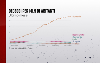grafico