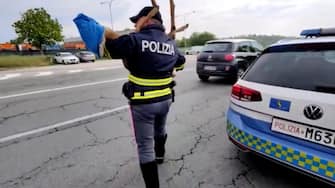 Un fermo immagine tratto da un video mostra alcuni agenti della polizia stradale soccorrere un capriolo che era capitato sulla corsia di emergenza di un'autostrada, sulla A5 Torino-Aosta tra le uscite di San Giorgio e Scarmagno, 30 aprile 2023. ANSA/ UFFICIO STAMPA ++HO - NO SALES EDITORIAL USE ONLY++ NPK++