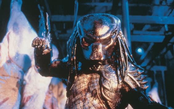 Predator, a new film in the saga is in the works