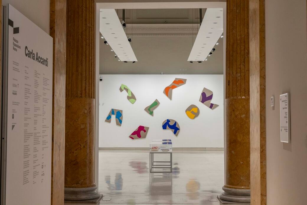 12_Mostra_Carla_Accardi_ph.Monkeys_Video_Lab.jpg