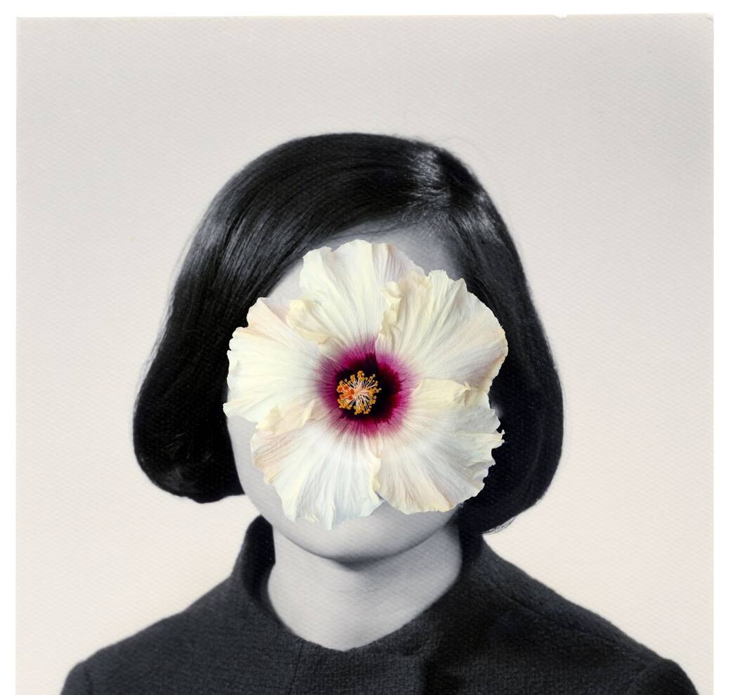 Lee Grant, Ancestral Constellations, 2011-2026