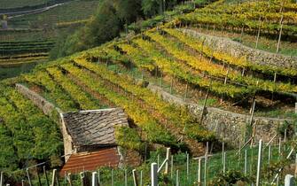val di cembra
