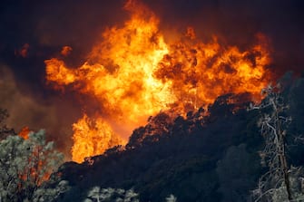 USA CALIFORNIA FIRE