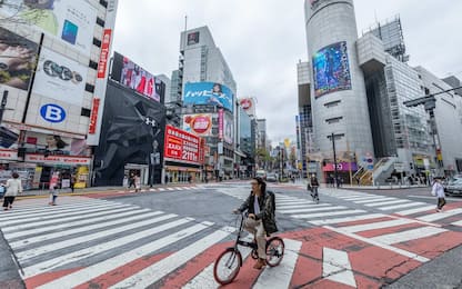 Giappone, terremoto di magnitudo 5.2 alla periferia di Tokyo