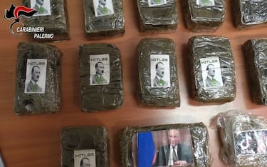 Panetti di droga con effige Putin e Hitler