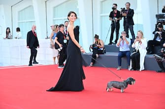 Venezia, 80th Venice Film Festival 2023 . Serata 3 - red carpet del film Poor Things - Caterina Murino arriva con il cane al guinzaglio