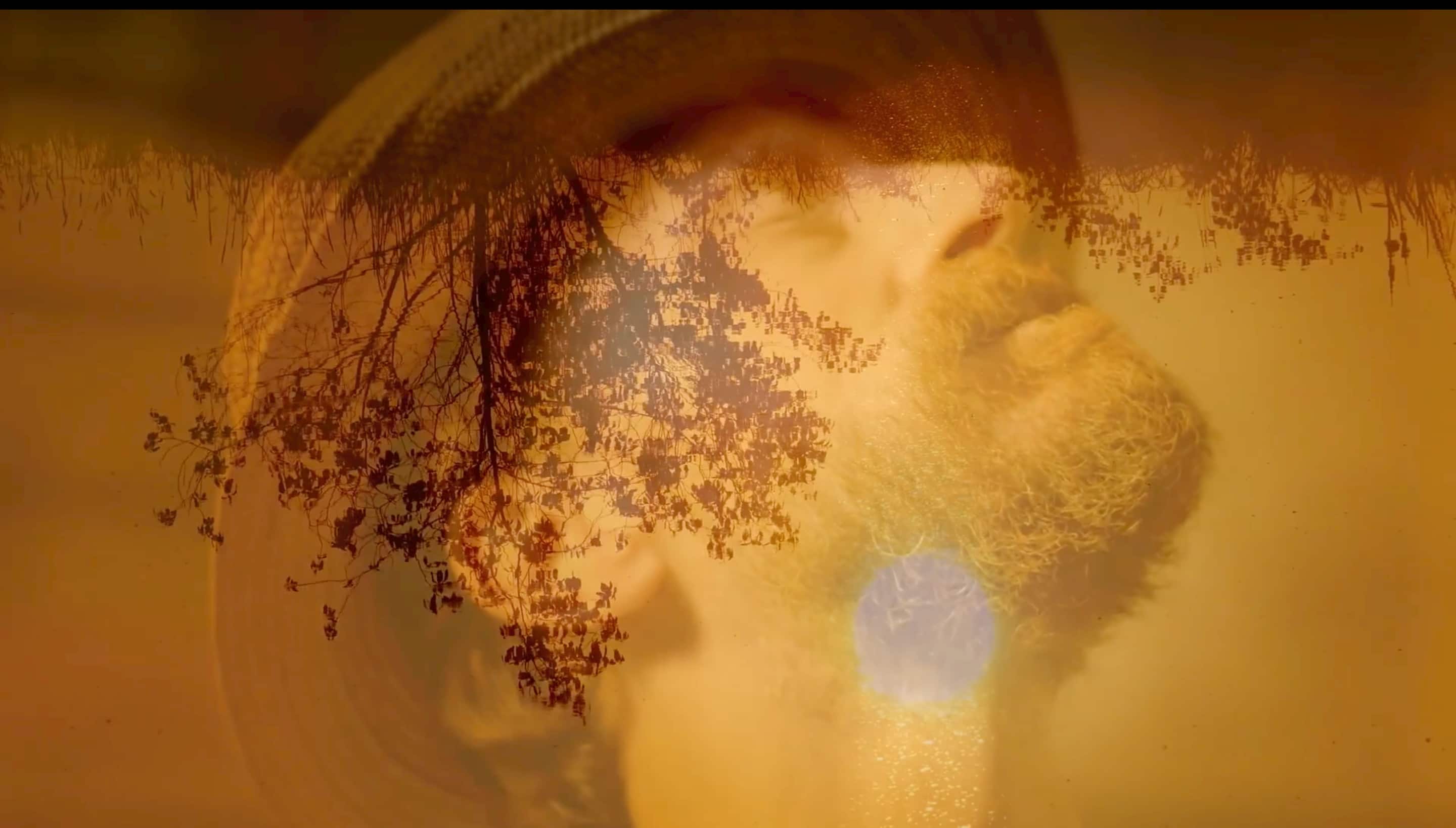 Vincent_in_sunlight_©_Exhibition_on_Screen.jpeg