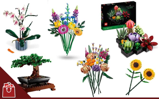 Lego ha due novità nella collezione Botanical: l'orchidea e le piante grasse