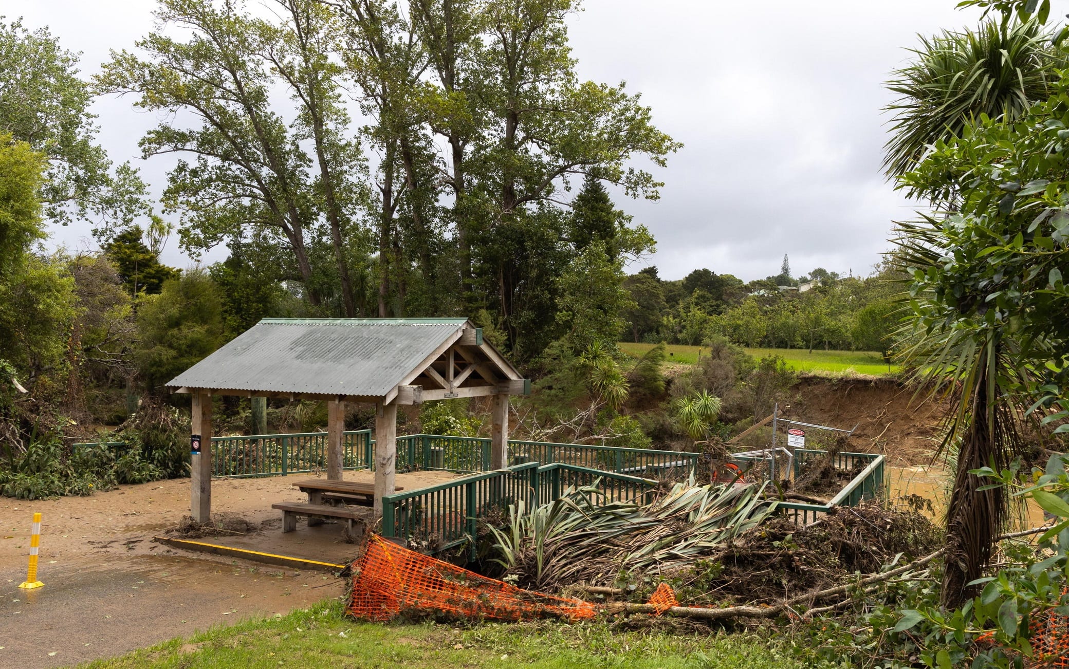 epa10466021 Fallen trees and palms at the Tri Glen Reserve in West Auckland, New Zealand, 14 February 2023. Thousands of New Zealanders were left without electricity due to powerful winds from Cyclone Gabrielle.  EPA/EMILY CHALK  AUSTRALIA AND NEW ZEALAND OUT