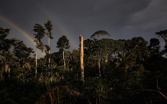 epa08891311 (02/39) View of deforestation in the Ituri rainforest, an area of immense biodiversity in north-eastern Democratic Republic of Congo, 18 October 2020. Conflict and governance issues mean conservation in the region is fraught with problems or non-existent. Human populations come into contact with animals and pathogens during activities such as hunting for food or the exotic animal trade and deforestation. With deforestation and habitat loss, animals are more likely to move into new areas and come into contact with human beings for the first time. As biodiversity loss is accelerated by human population growth, these scenarios become increasingly likely.  EPA/Hugh Kinsella Cunningham ATTENTION EDITORS / MANDATORY CREDIT : This story was produced in partnership with the Pulitzer Center -- For the full PHOTO ESSAY text please see Advisory Notice epa...