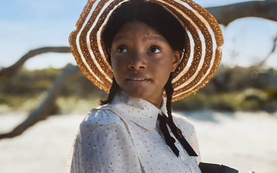 gli attori di colore viola