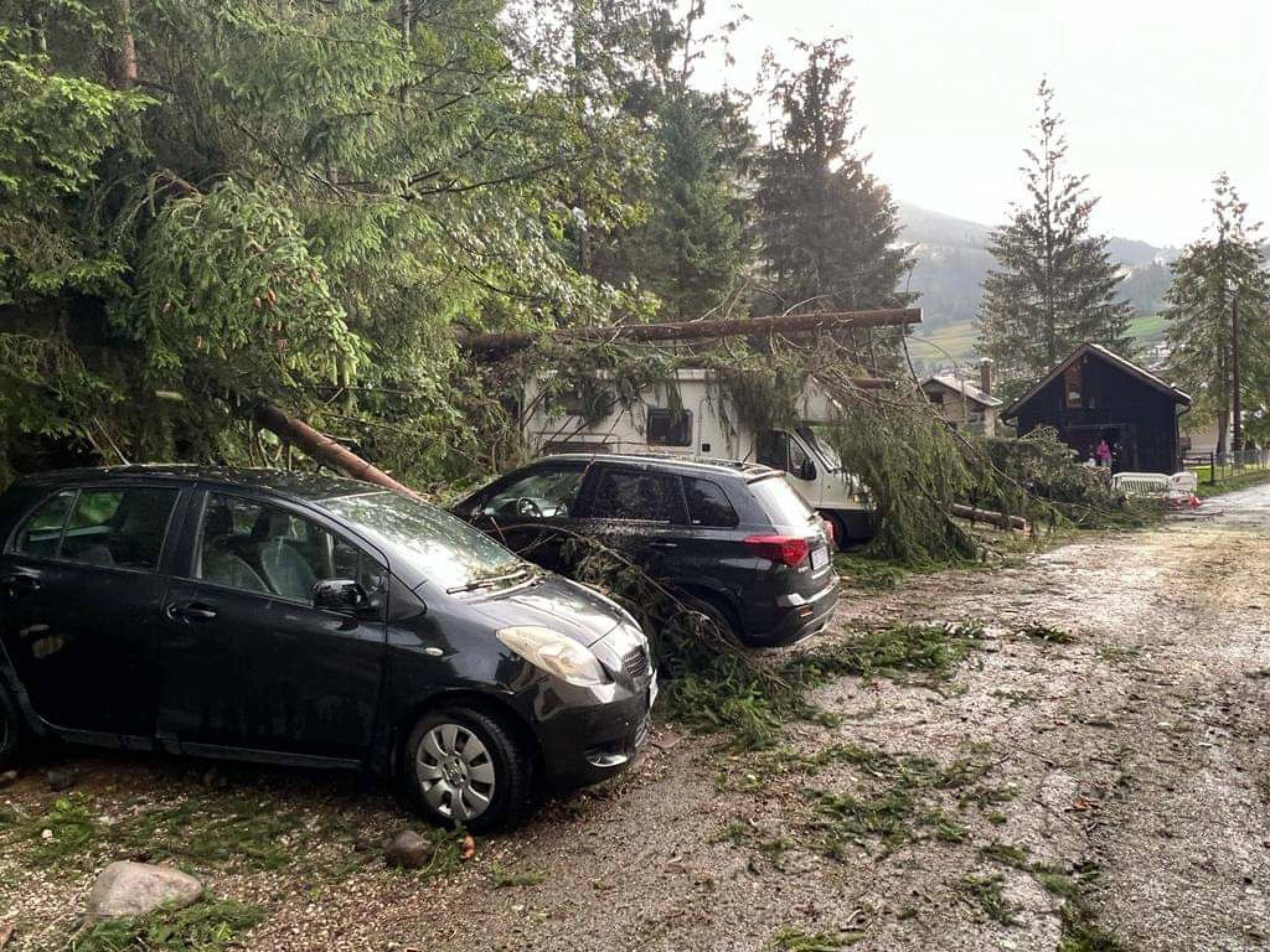 Tetti delle case divelti dalla raffiche di vento che ha raggiunto anche i 90 chilometri all'ora in Trentino, dove nel pomeriggio la Protezione civile ha diffuso un'avviso di allerta ordinaria (gialla). In Primiero, a Tonadico, il vento ha scoperchiato un capannone aziendale a Tonadico ed i vigili del fuoco volontari stanno operando per la rimozione e la messa in sicurezza della copertura. Scoperchiato il tetto di un edificio anche a Caldonazzo, in Valsugana. A Pergine i vigli del fuoco volontari sono intervenuti anche per un principio di incendio al campanile della chiesa. A causa del forte vento sono cadute piante sulle strade: chiusa la sp81 del Valles, così come la ss 50 del Passo Rolle da Bellamonte al passo e la ss 346 di San Pellegrino dalla Campagnola a località Fango. Numerose anche le grandinate, come in valle di Non.
ANSA/Protezione civile del Trentino +++ ANSA PROVIDES ACCESS TO THIS HANDOUT PHOTO TO BE USED SOLELY TO ILLUSTRATE NEWS REPORTING OR COMMENTARY ON THE FACTS OR EVENTS DEPICTED IN THIS IMAGE; NO ARCHIVING; NO LICENSING +++ NPK +++