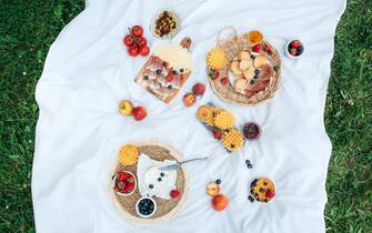 Picnic with tasty and healthy food in nature. Nicely served picnic. Food in nature. Fruits, vegetables, cheese, jamon and croutons for a picnic. Spending time outdoors. A white tablecloth or bedspread on the grass. Top view of a picnic.