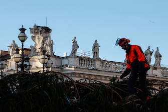 Workers work to arrange a fir tree from the Piemonte region is erected to serve as a Christmas tree in St. Peter's Square, Vatican,  23 November 2023. A
ANSA/GIUSEPPE LAMI