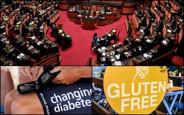 collage_senato_diabete_celiachia_ansa