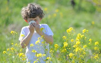 Milano - Allergia e asma in aumento tra i bambini