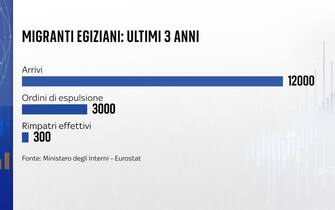 grafica