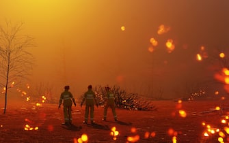 Three fire fighters stand close together in the middle of a burning forest. Concept of fighting forest fires which have startet due to natural disasters or arson. The image is a 3D render.
