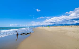 lecciona spiagge toscana