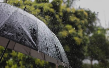 On a rainy Day umbrella under rain against green background,  Umbrella during the rainy season .