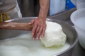 POLIGNANO, ITALY - MAY 22: The processing of the pasta to create the mozzarella of the Capricci di Latte dairy on May 22, 2020 in Polignano, Italy. Restaurants, bars, cafes, hairdressers and other shops have reopened, subject to social distancing measures, after more than two months of a nationwide lockdown meant to curb the spread of Covid-19. (Photo by Donato Fasano/Getty Images)
