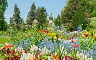 Spring flowers at island Mainau. At Lake Constance/ Bodensee in Germany. At the island blooming a lot of different flowers around the year. A lot of tourists walking each day around the island - a tourist attraction of Baden Wurttemberg.