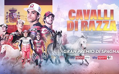 Oggi gran finale a Jerez: gara LIVE su Sky alle 14