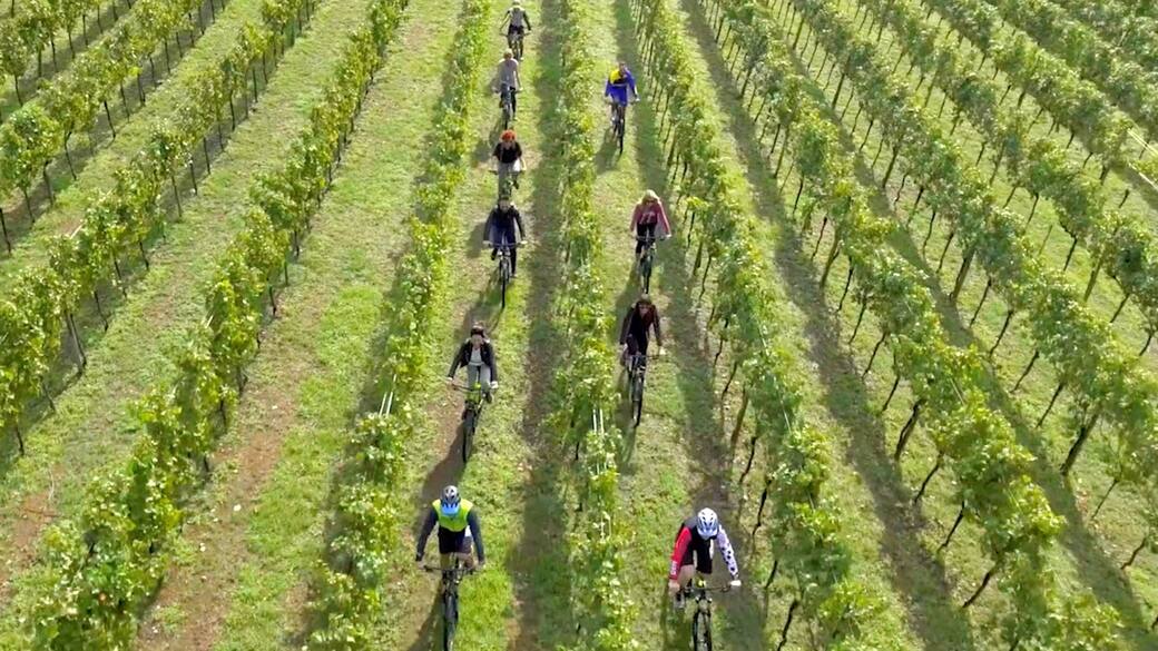Bici_vigne_Franciacorta_11zon_(1).jpg